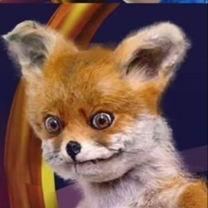 Meet your Posher, Penny